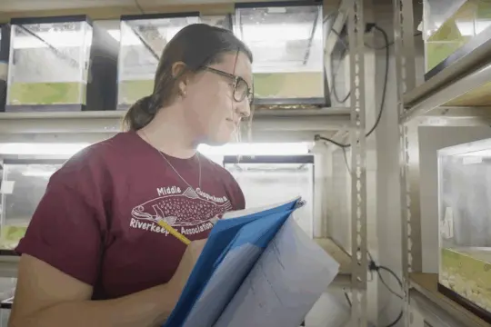 A person with glasses holds a blue binder, observing fish tanks stacked on metal shelves. They are wearing a maroon shirt with a logo and text, and have their hair tied back. The room is filled with aquariums, each containing water and some plants.